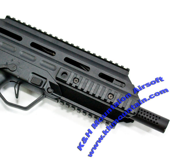 APS UAR501 Urban Assault Rifle AEG / Black