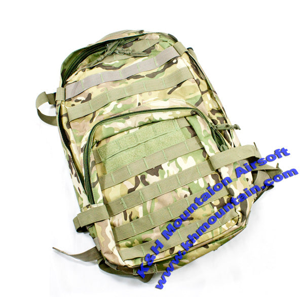 Camelbak Style Versatile Molle Back Pack / CP